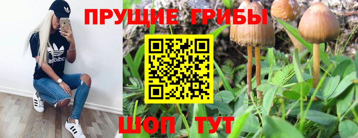 продажа наркотиков  Вход с VPN  Азов  Галлюциногенные грибы Magic Shrooms 